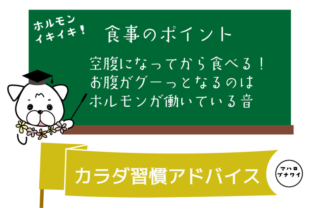 食事のポイント　空腹になってから食べる！お腹がグーっとなるのはホルモンが働いている音