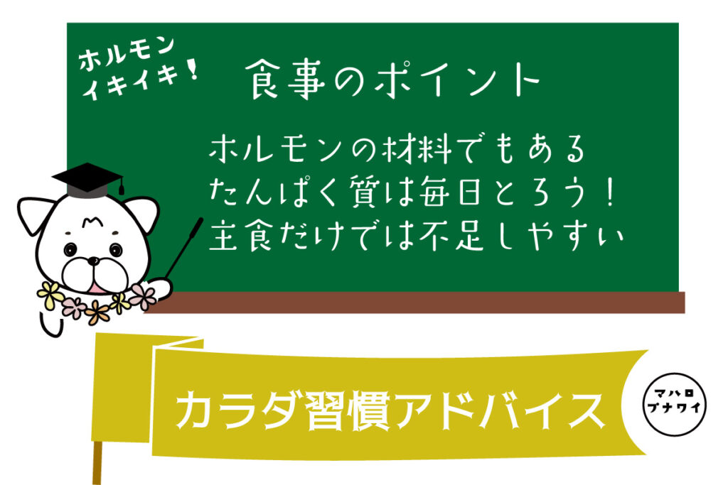 食事のポイント　ホルモンの材料でもあるたんぱく質は毎日とろう！主食だけでは不足しやすい