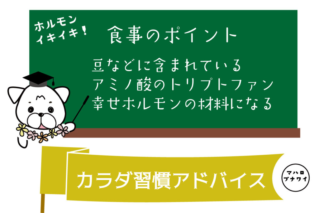 食事のポイント　豆などに含まれているアミノ酸のトリプトファンは幸せホルモンの材料になる