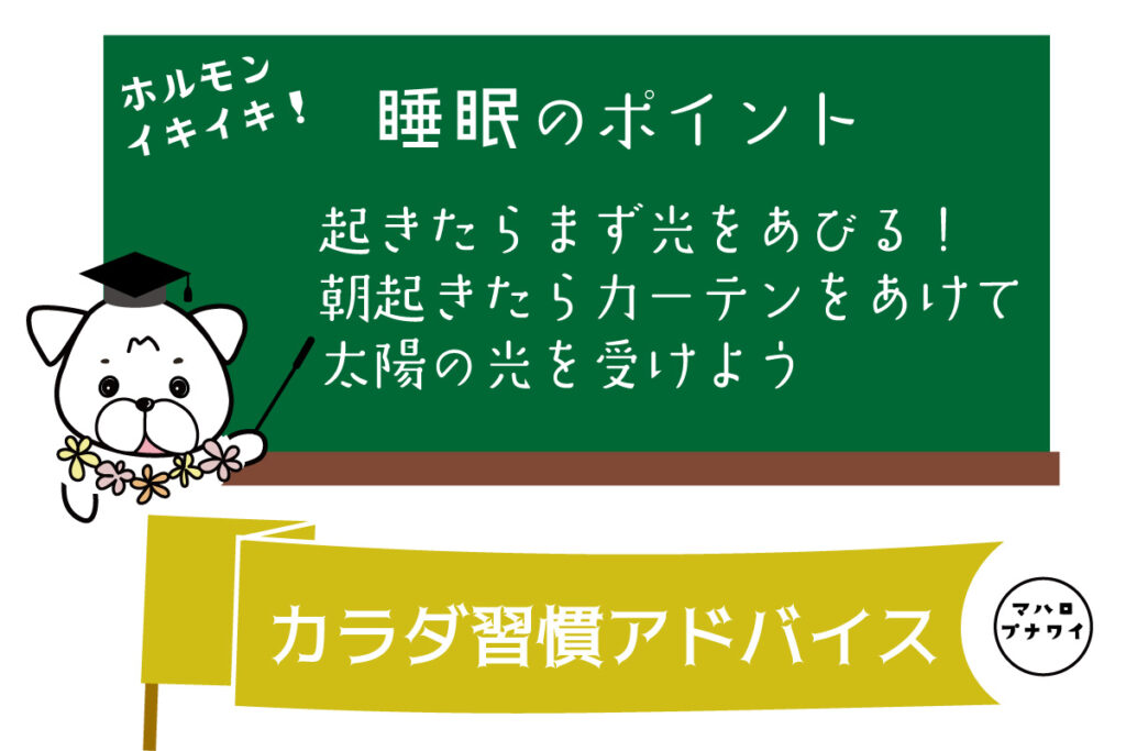 睡眠のポイント　起きたらまず光をあびる！朝起きたらカーテンをあけて太陽の光を受けよう